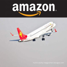 International Logistics Freight Forwarder Air Shipping Amazon FBA France